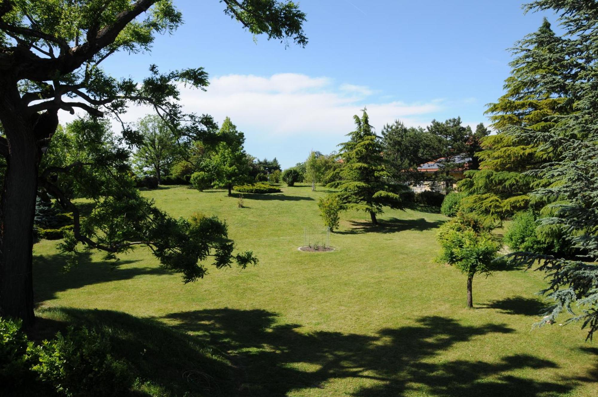 Villa Ester Tagliolo Monferrato Екстериор снимка